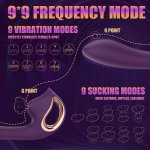Air-Pulse Clitoris vibrator Oral Sex Simulator Waterproof detachable Sex Toy for Women – vibrator for women detail 6