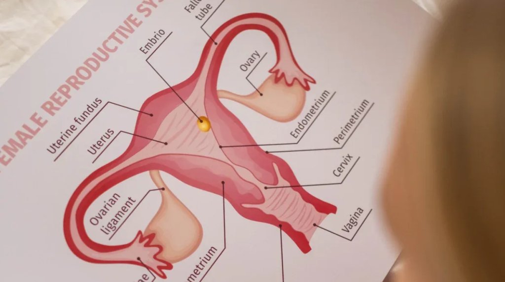 Understanding Why You Pee When You Orgasm