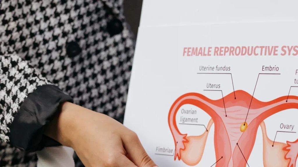 What Is a Bruised Cervix and When Should You Worry